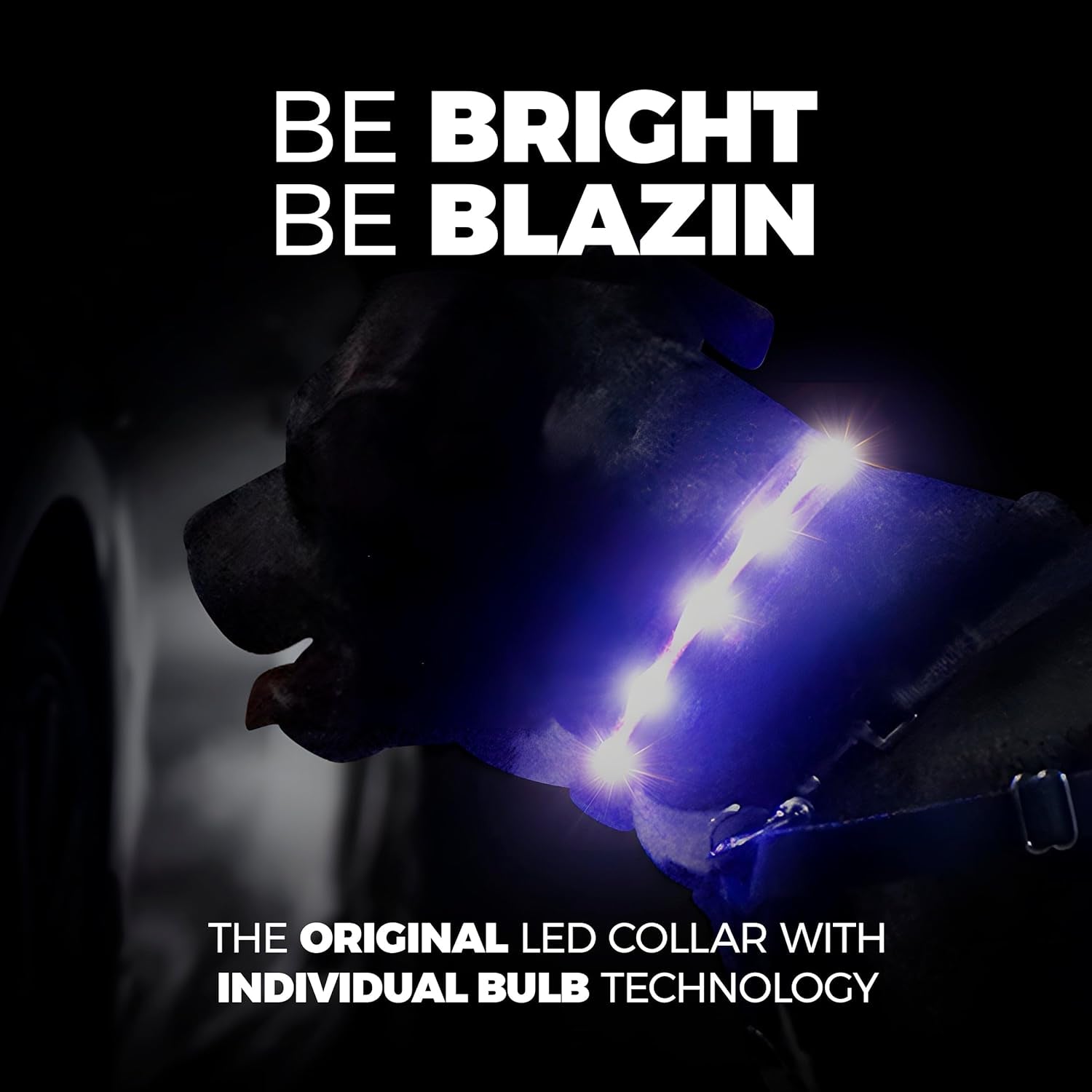 Light up Dog Collar - the Original LED Dog Collar - USB Rechargeable - Waterproof - 1,000 Feet of Visibility - Dog Collar Light for Small, Medium, Large Dogs - USA Brand